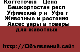 Когтеточка › Цена ­ 400 - Башкортостан респ., Уфимский р-н, Уфа г. Животные и растения » Аксесcуары и товары для животных   